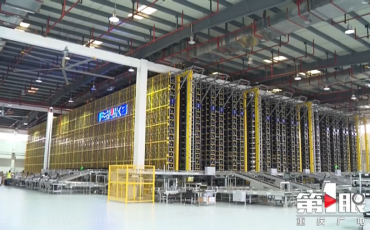 進(jìn)出口貨量穩(wěn)步回暖 重慶衛(wèi)視探溫飛力達(dá)