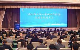 Chongqing Feiliks Awarded the Title of “Excellent Private-owned Enterprises” of Liangjiang New Area – Innovation-driven Development Boosting High-quality Regional Economic Growth